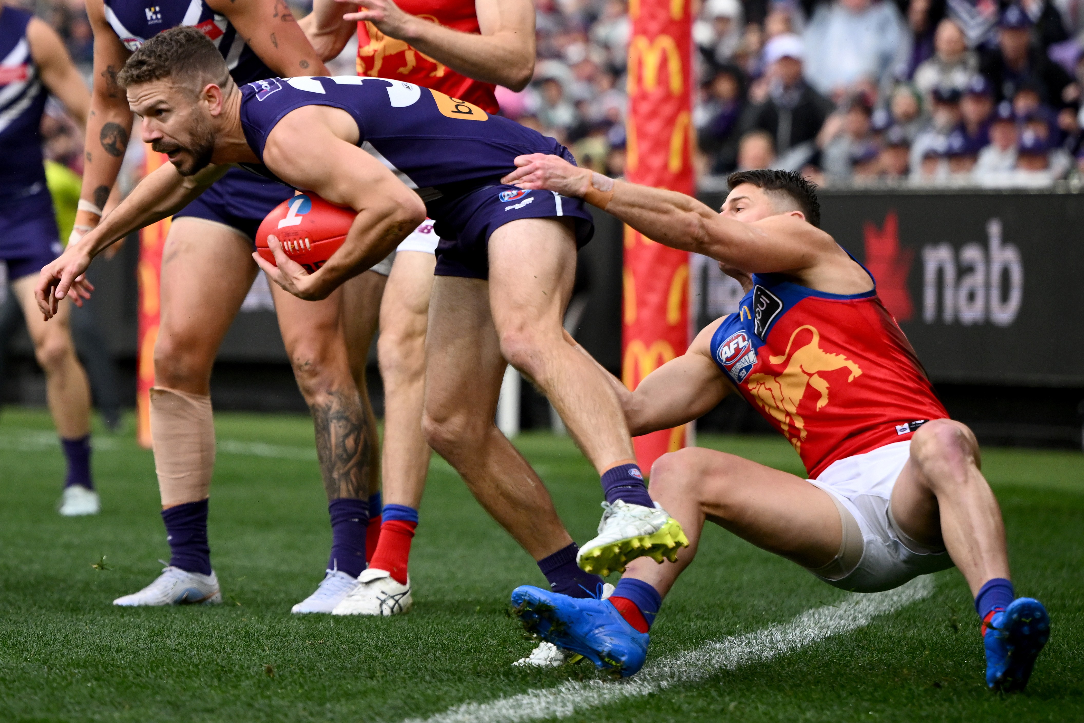 AFL Zorko
