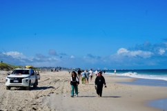 Beach closed as sharks circle whale carcass