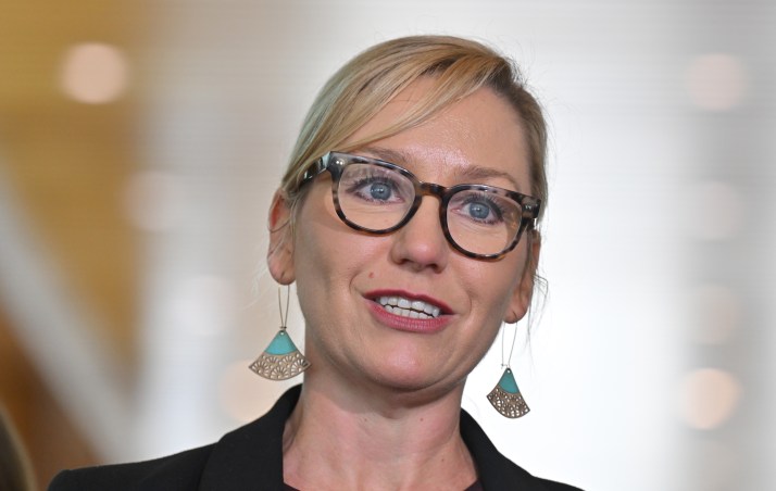 Greens leader exits after health 'downturn'