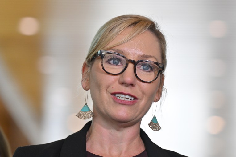 Greens leader suddenly quits after health ‘downturn’