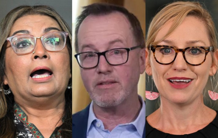 'About the team': Greens to choose new leader