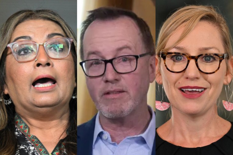 'About the team': Greens to choose new leader