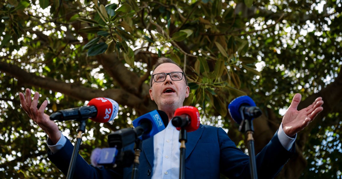 David Shoebridge elected as new Greens leader