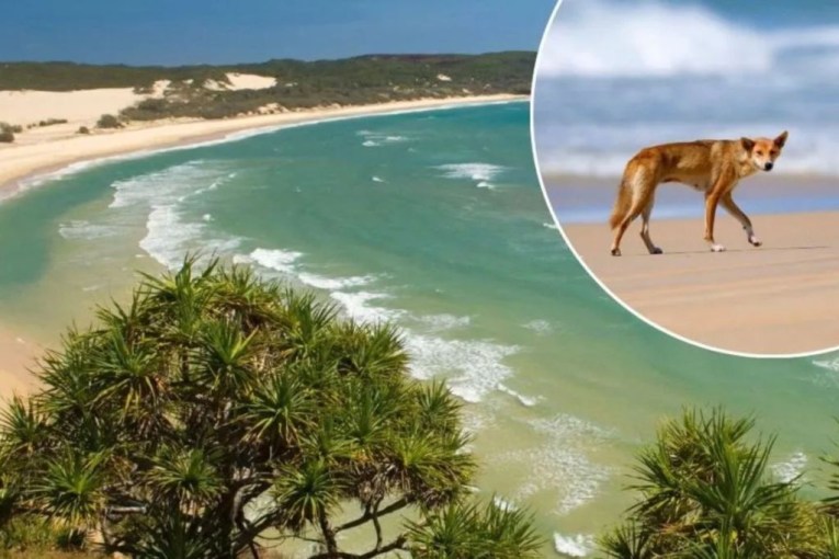 School holiday warning for Fraser Island travellers