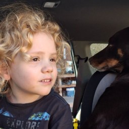 $1m reward for information about missing Gus