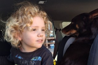 $1 million reward for missing Gus as parents issue desperate plea