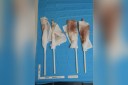 Shoe print, footy kit in cop's kill clean-up