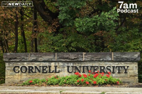 What the ‘Cornell 7’ tells us about male silence