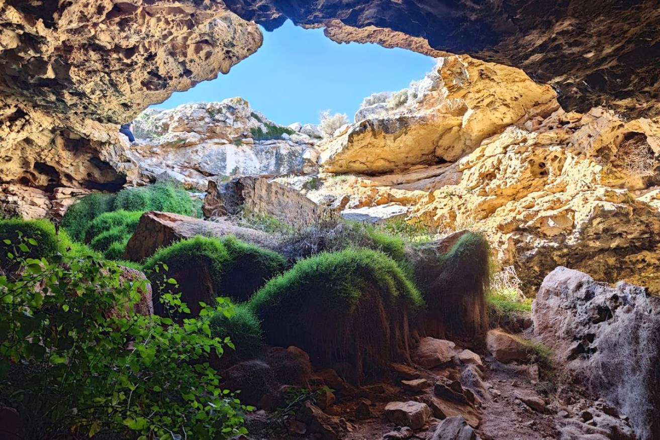 Geoscientists have discovered hidden cave systems along the Nullarbor, some just metres underground.
