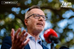 New leader, new Greens? Shoebridge on the futureÂ
