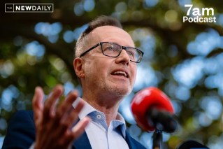 New leader, new Greens? Shoebridge on the future