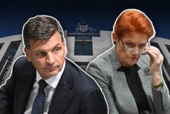 Angus Taylor to fend off One Nation on migration