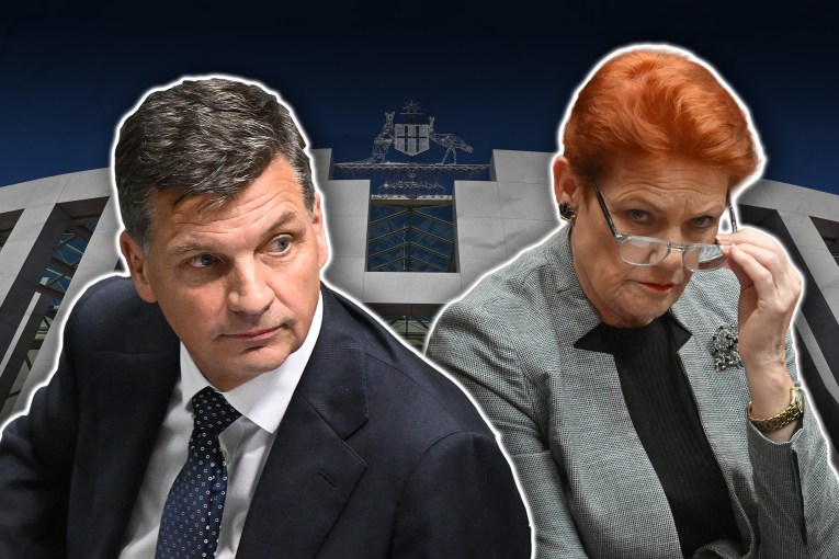 Angus Taylor to fend off One Nation on migration