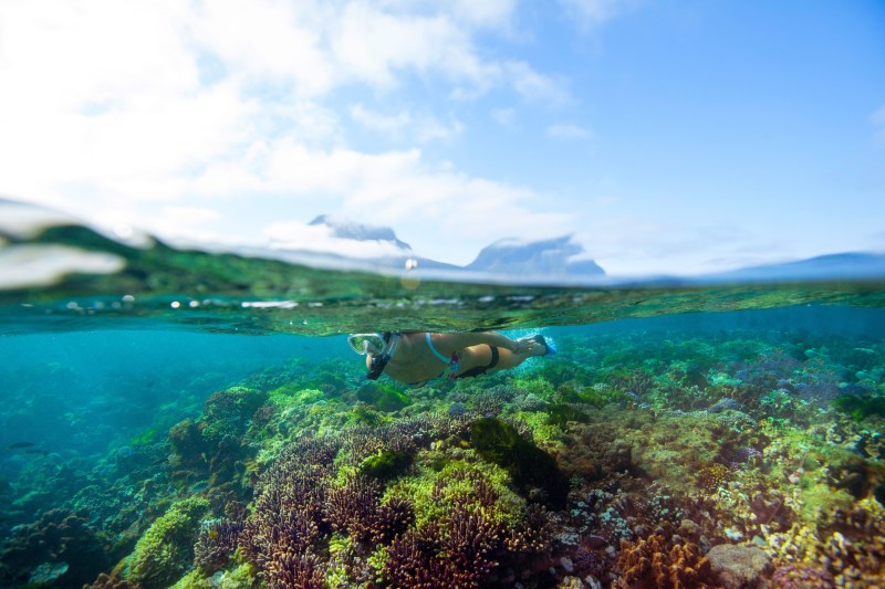 lord howe island