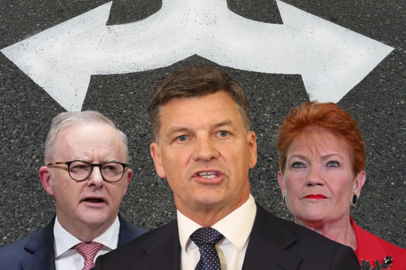 The Coalition finds itself in the happy position as being seen as the "sensible centre" between One Nation and Labor.