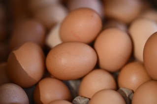 Major egg producers accused of ‘cartel conduct’ over pricing