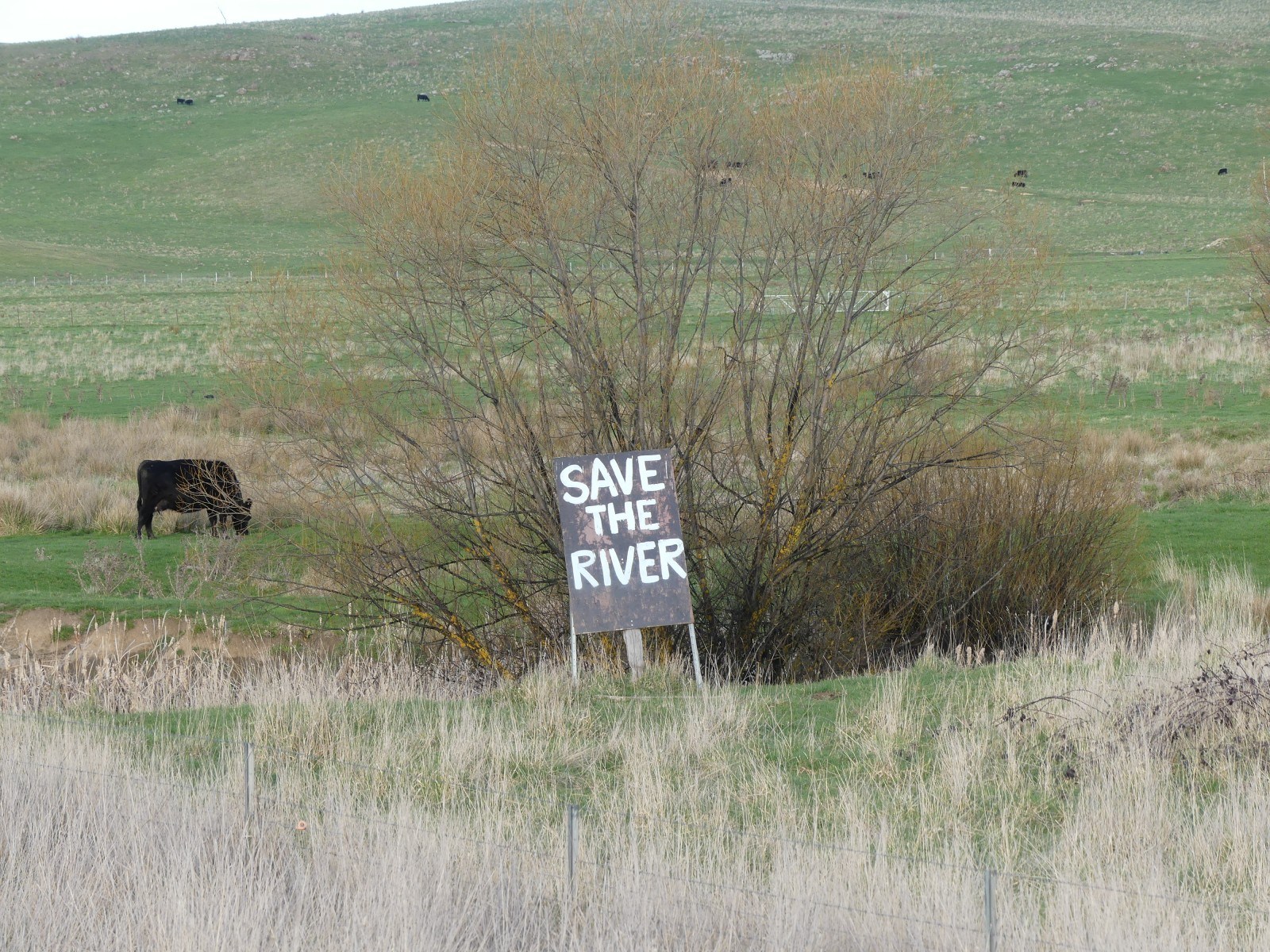 Belubula River Blayney