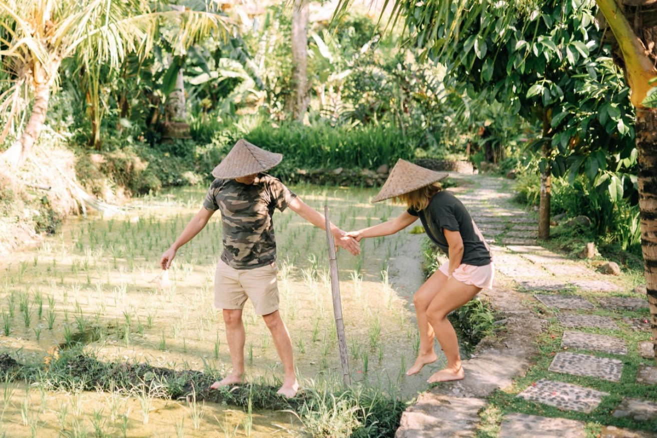 popular destinations like Bali, have frequent dengue outbreaks.