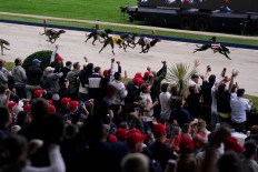 ‘A special buzz’: fans farewell racing at dog track