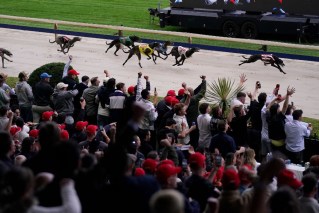‘A special buzz’: fans farewell racing at dog track