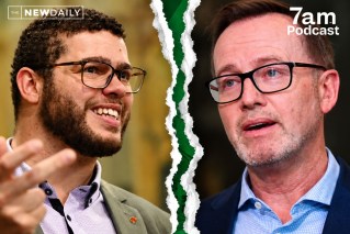 Lying, misconduct and coverup: Greens in crisis