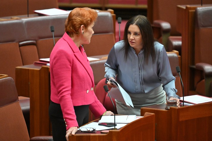 Pauline Hanson apologises for vulgar cartoon on rival