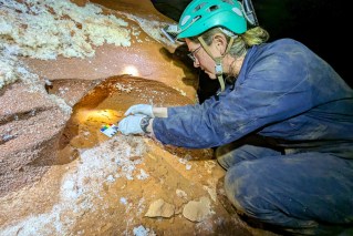 ‘Living dinosaur’ relics found in ancient desert caves