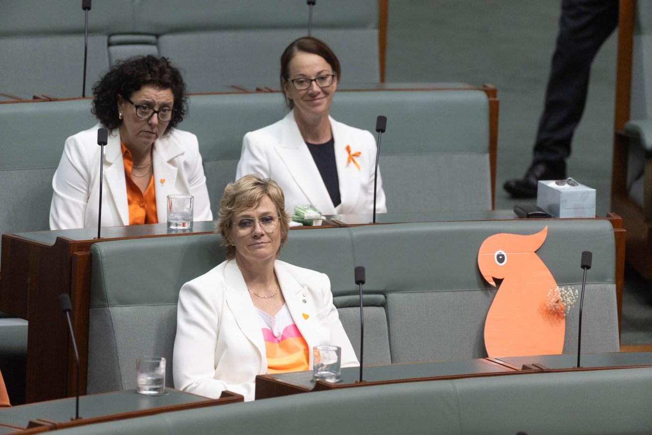 MPs wore white blazers with sprigs of baby's breath flower in honour of Haines.