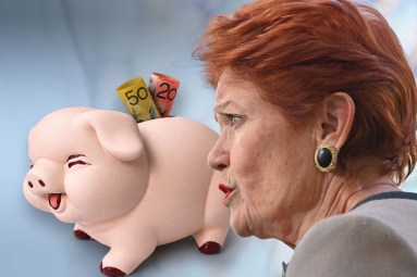Hanson doubles down on controversial super policy