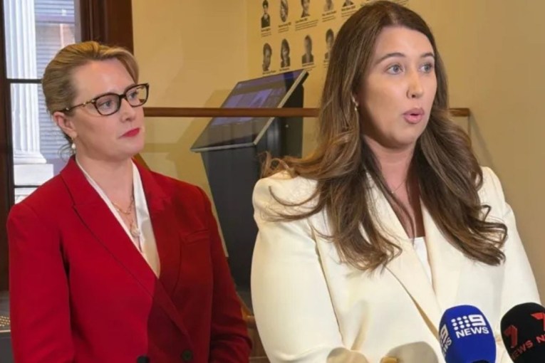 Man cautioned over alleged stalking of Labor MPs