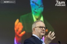 'Death spiral': Is it time Albanese changed tack?