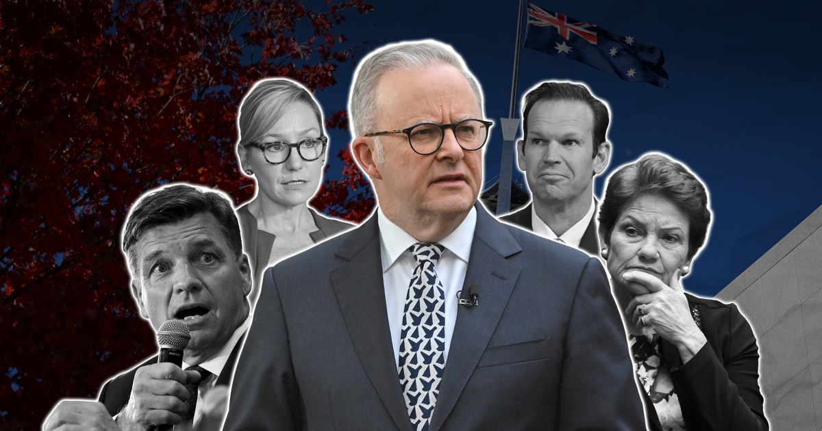 'Unable to get out of its own way', Labor looks in wrong direction